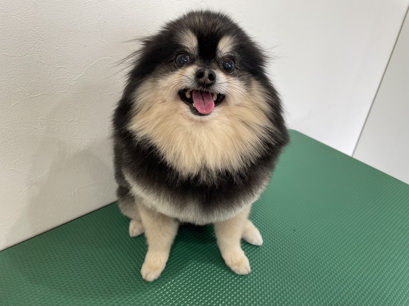 久遠くん