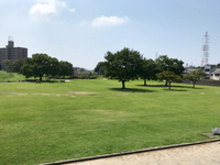 馬込川みずべの公園 2017/08/30 18:35:33