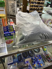 本日入荷袋入りセールあります