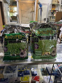 本日入荷 2025/05/09 09:51:44