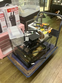 爬虫類ゲージ