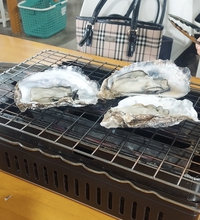 舞阪マルマ幸福丸 2025/01/12 14:56:01