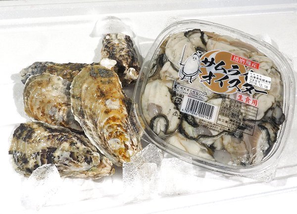 海老仙の浜名湖遠州灘の地魚・うなぎの紹介