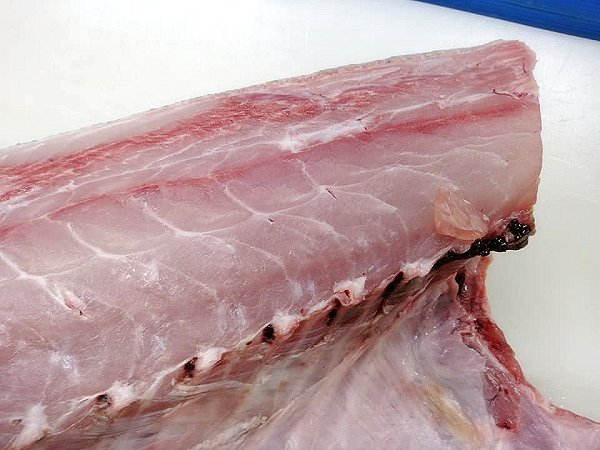 海老仙が選ぶ天然ヒラマサ・天然カンパチ捌いています！海老仙加工場のオススメ
