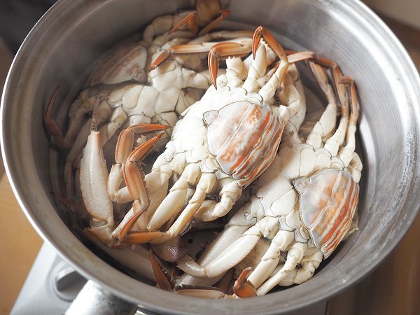 海老仙の浜名湖遠州灘の地魚 うなぎの紹介