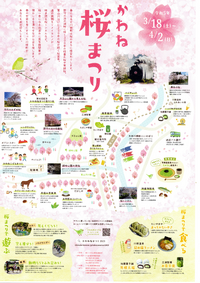 今年の桜まつりは 2023/03/22 23:44:07