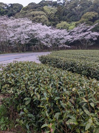 新シーズンへ 2024/04/04 11:03:32