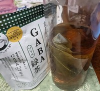 GABAについて 2024/06/12 22:02:00