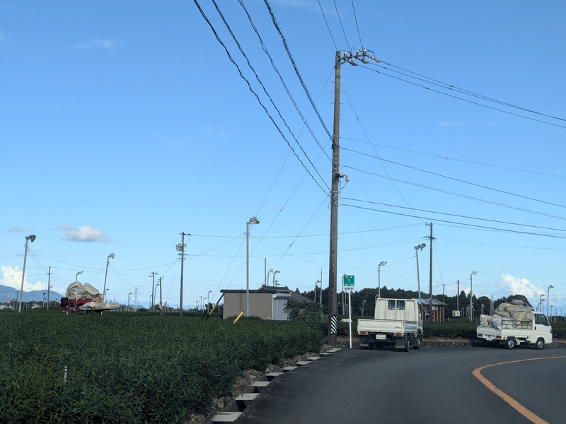 秋冬番の生産