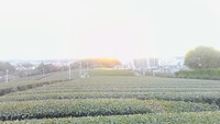 2023年正月 2023/01/02 10:36:59