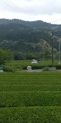 GW終盤も 2023/05/07 08:51:59