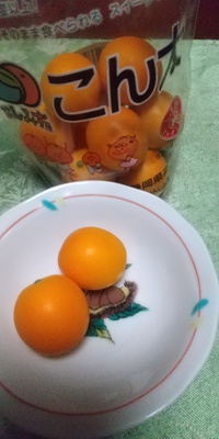 キンカンについて 2023/02/27 04:57:39