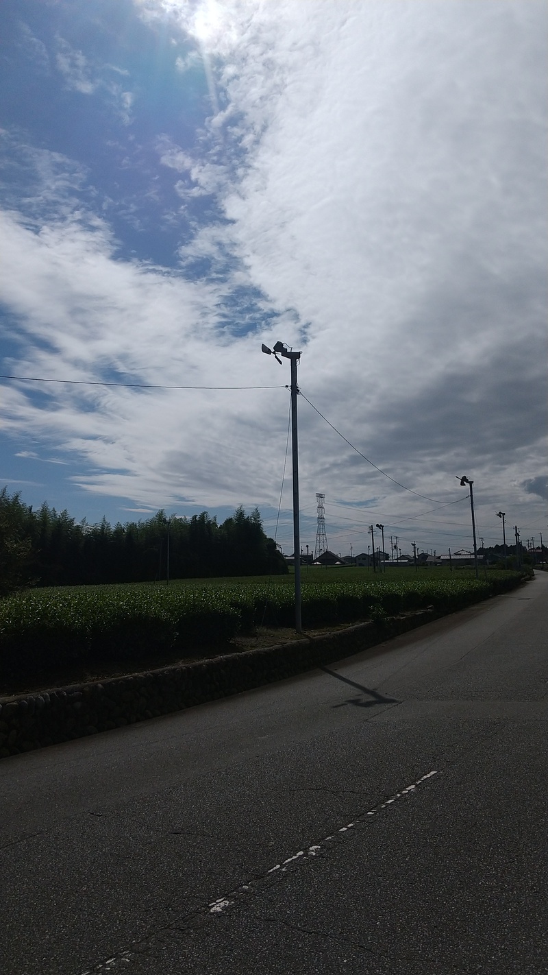 夏から秋へ