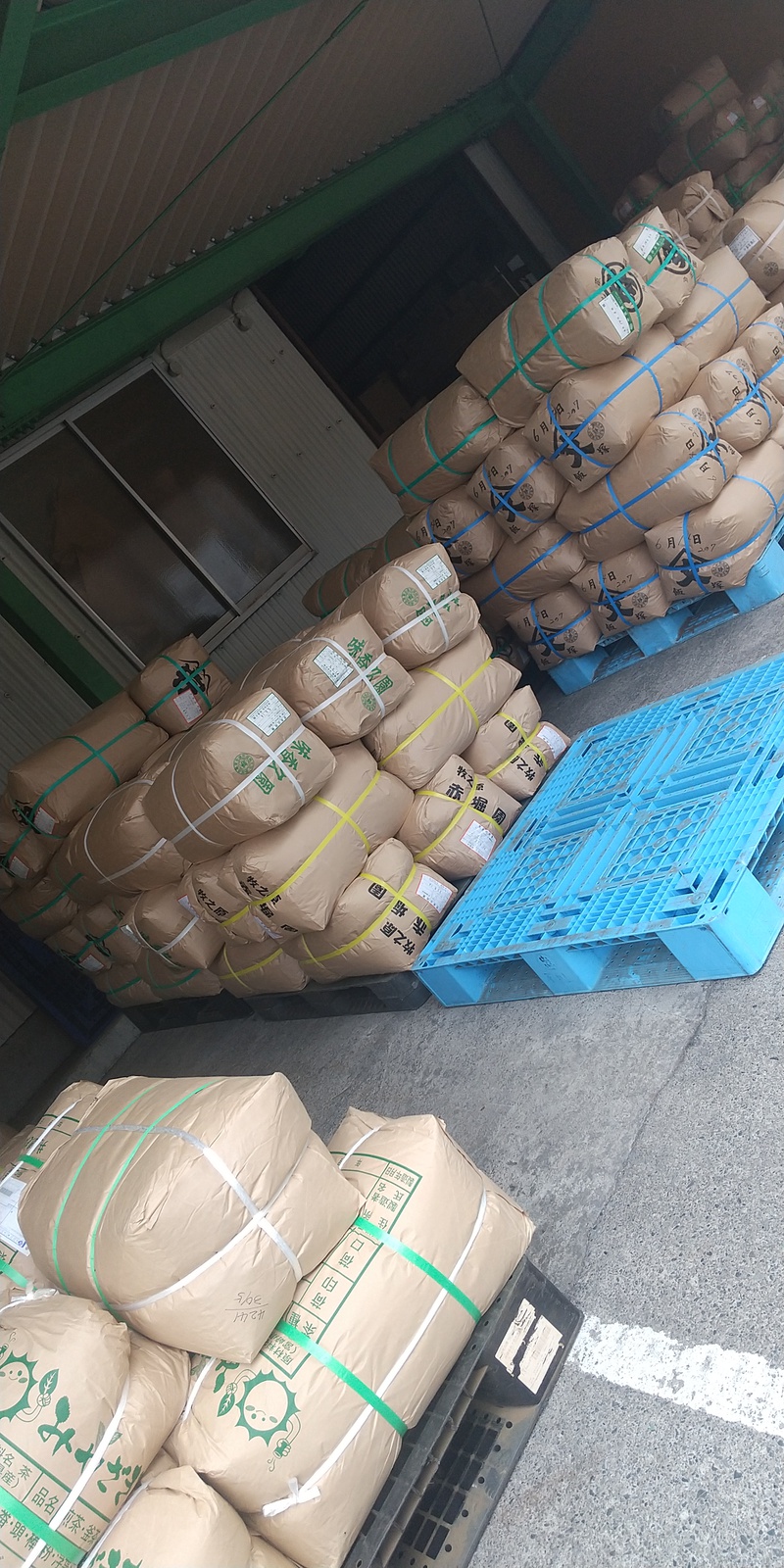 二番茶生産と荒畑園の新茶