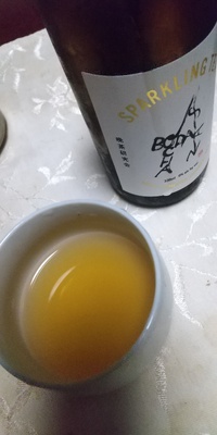 菩提酸茶スパークリング 2023/07/09 04:41:35