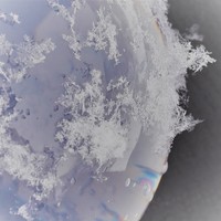 行ってきました！ 2018/02/10 16:21:37