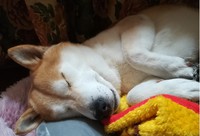明けましておめでとうございます。 2018/01/17 00:23:32