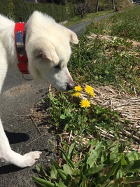 お久しぶりです！(*^o^*) 2019/07/31 18:41:36