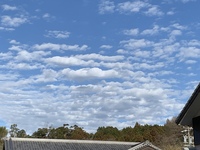 青空と雲のコラボ♪(๑ᴖ◡ᴖ๑)♪ 2021/01/27 15:12:03