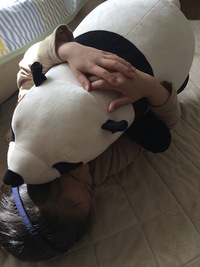 *今週の営業日* 2017/03/05 22:43:51