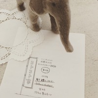 *コトコト市* 2019/03/17 13:53:17