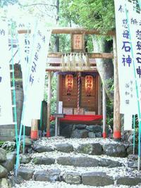 女子・旅・・・