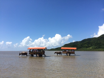 夏本番！今年も大人気の沖縄へ行ってきました！！