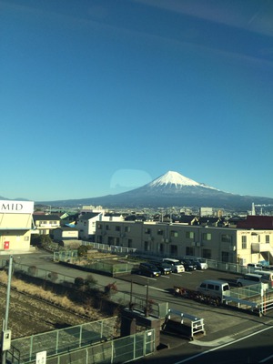本年もよろしくお願い致しますm(_  _)m