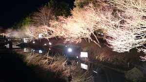 今年も・・・