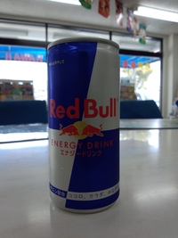 秋の休日（金曜だけど）！Ｆ１見に行ってきましたぁ～！！