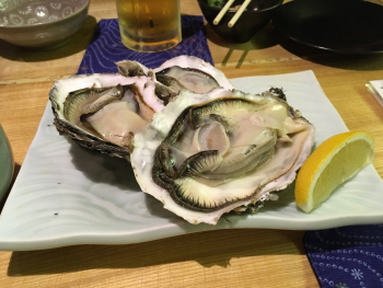 無くなる詐欺？にあってみんなで北海道旅行！！
