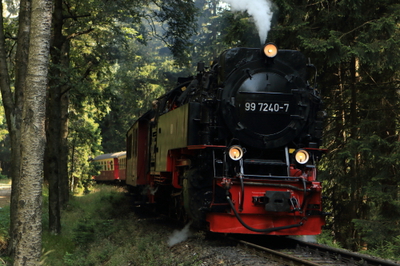 遅すぎ夏休み日記！　ｉｎ　ドイツ その２（登山鉄道編）