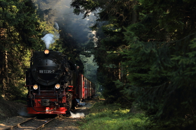 遅すぎ夏休み日記！　ｉｎ　ドイツ その２（登山鉄道編）