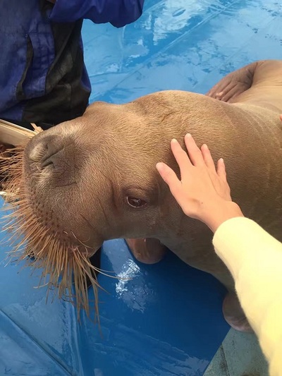 最近行ったとこ