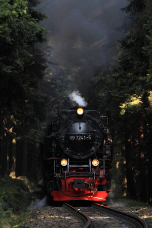 遅すぎ夏休み日記！　ｉｎ　ドイツ その２（登山鉄道編）
