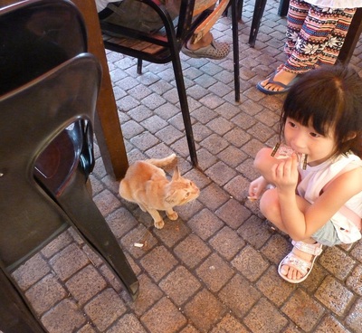 エマ観光浜松支店よりお送りする☆世界ネコ歩き～猫好きに送る記事～