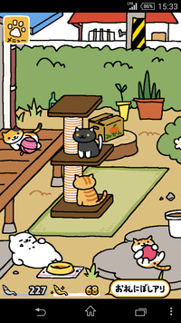 ねこ、集めてます。