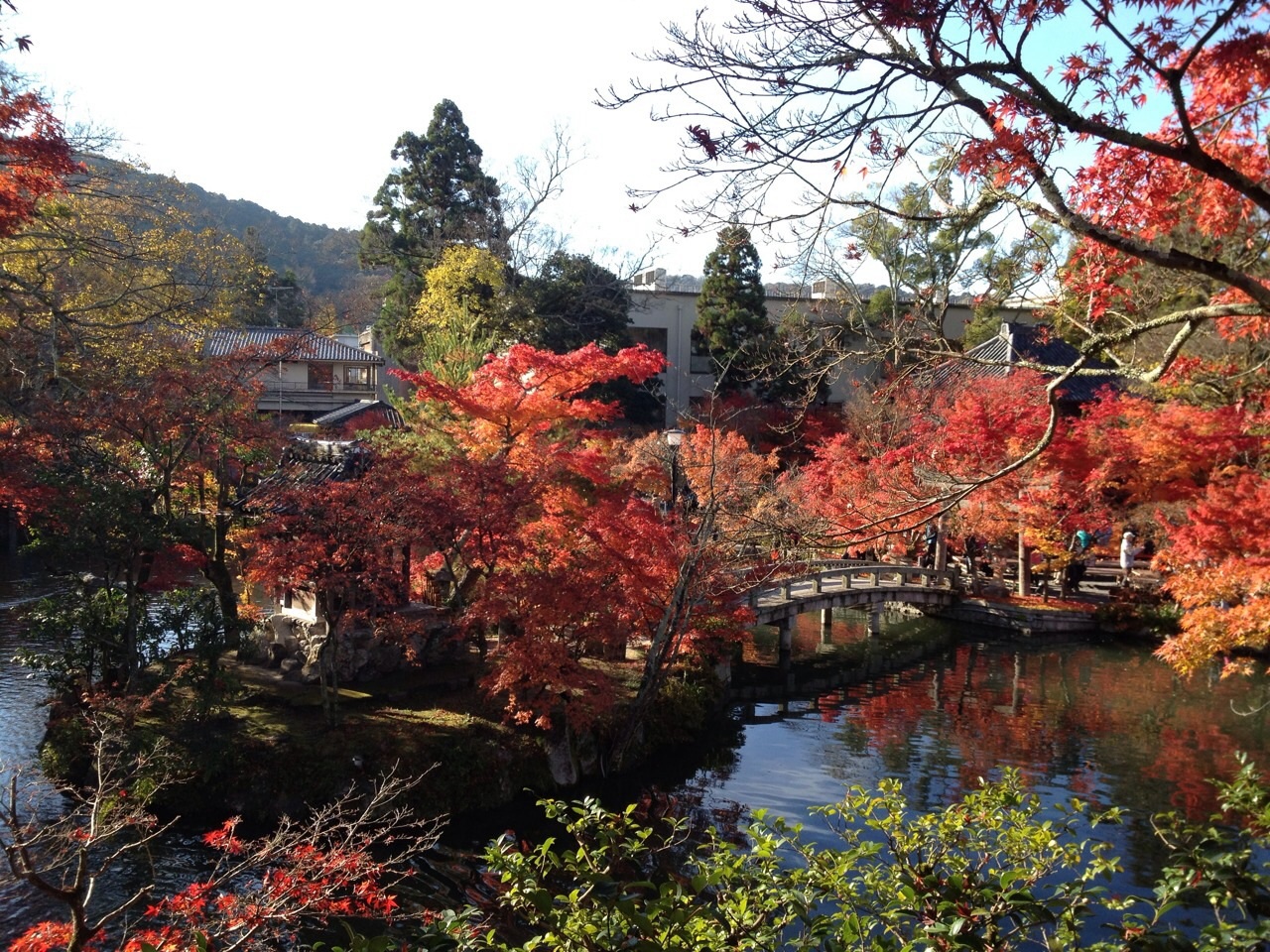 紅葉