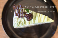 第2弾！ 2017/06/11 15:22:43
