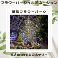 浜松フラワーパークイルミネーションクリスマスバージョン!