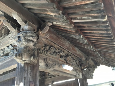 正定寺にある『藤枝市指定天然記念物、本願のマツ』