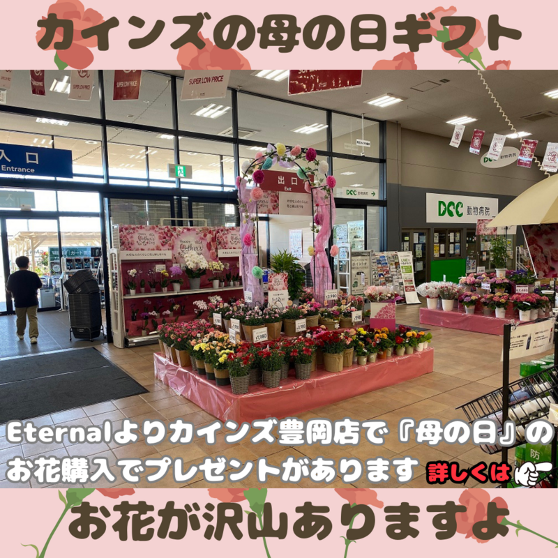 カインズ豊岡店で『母の日』のお花を購入するとEternalから素敵なプレゼントが...
