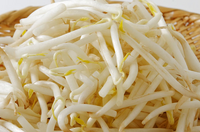 主婦の味方【もやし】の効果ってすっごい！！効率的な保存と食べ方も紹介☆