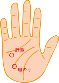 デトックスにはここのツボ！！ダイエットにも良き☆