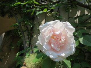 春の『La rose des Vents』さんへ♪　イベント参加のお知らせも。