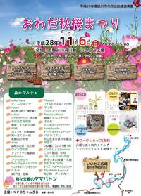 11/6は【おわだ秋桜まつり・森のマルシェ】へ♪ 2016/11/06 07:17:46