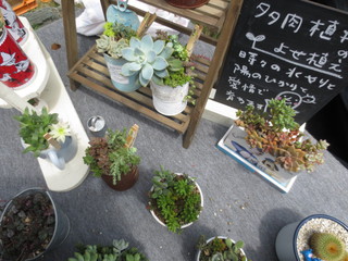 『キッチン野の花』さんの【夏のヤードセール】でしたよ♪