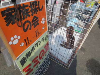 2/28【浜松ふれあいフェスティバル】ありがとうございました♪