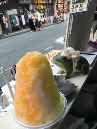 【もりもりまーけっと×森ほたる】ありがとうございました♪