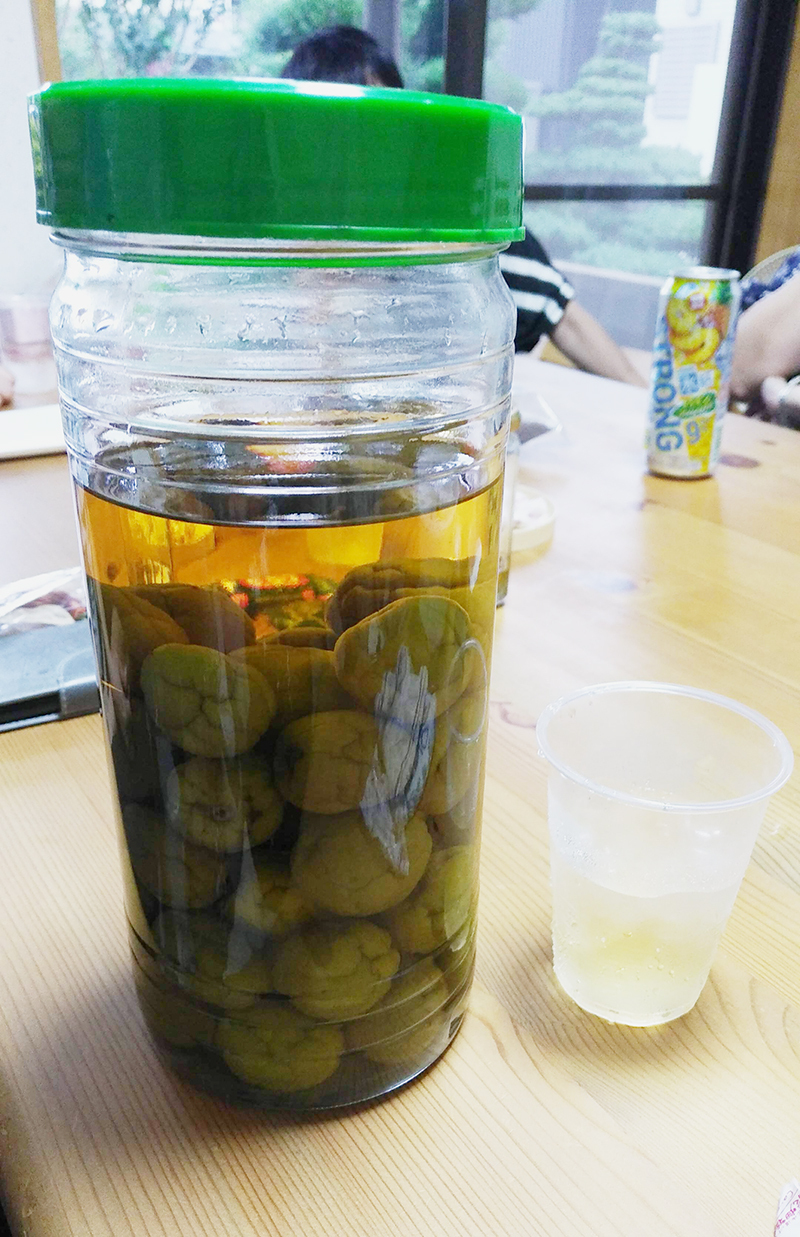 梅酒美味しかったよ〜。ありがとうね。